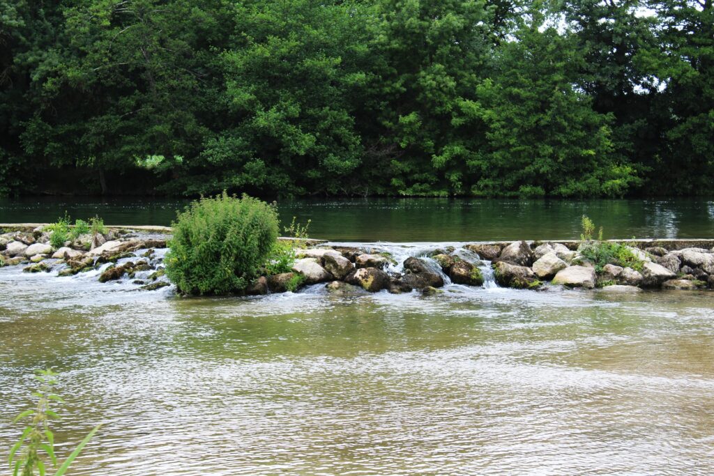 Fleuve Charente