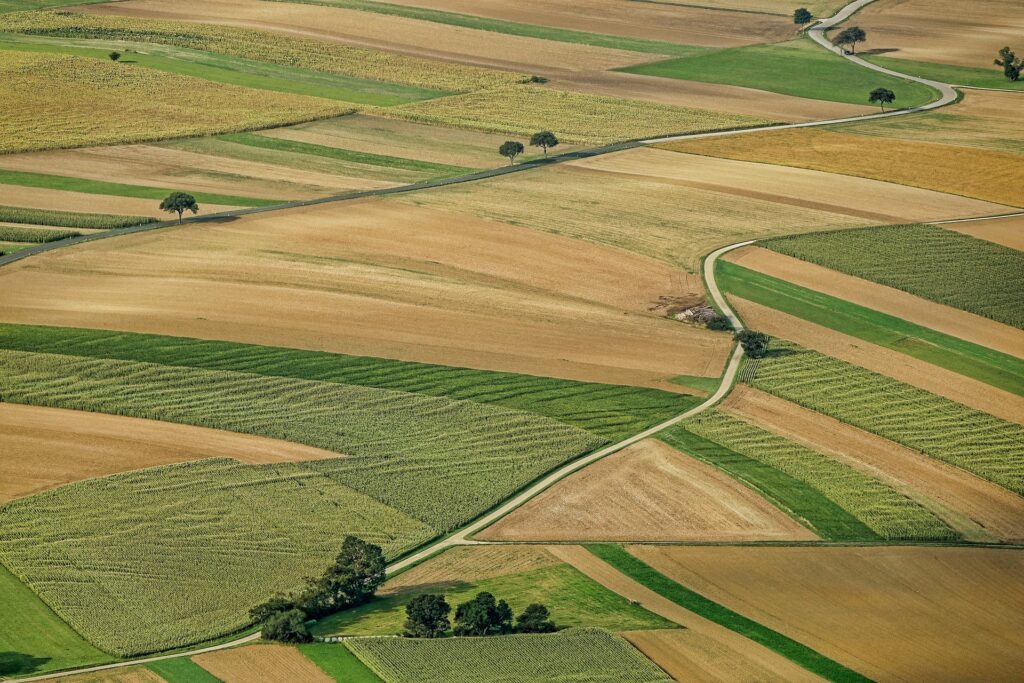 Champs, agriculture