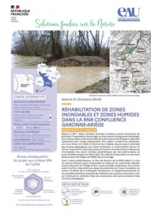 Réhabilitation de zones inondables et zones humides dans la RNR Confluence Garonne-Ariège