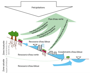 Schéma eau verte / eau bleue (de M. Falkenmark, traduit par A. Hamdane)