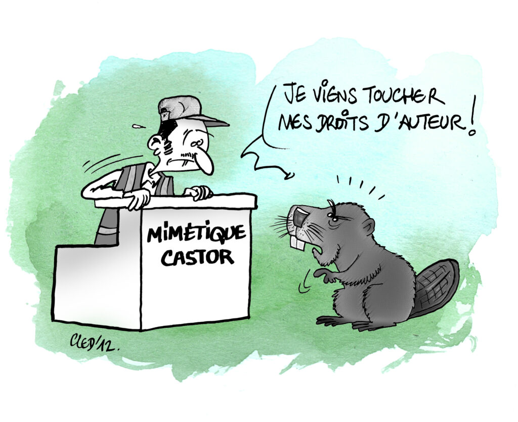 Cled'12, Lettre de veille 13, castor