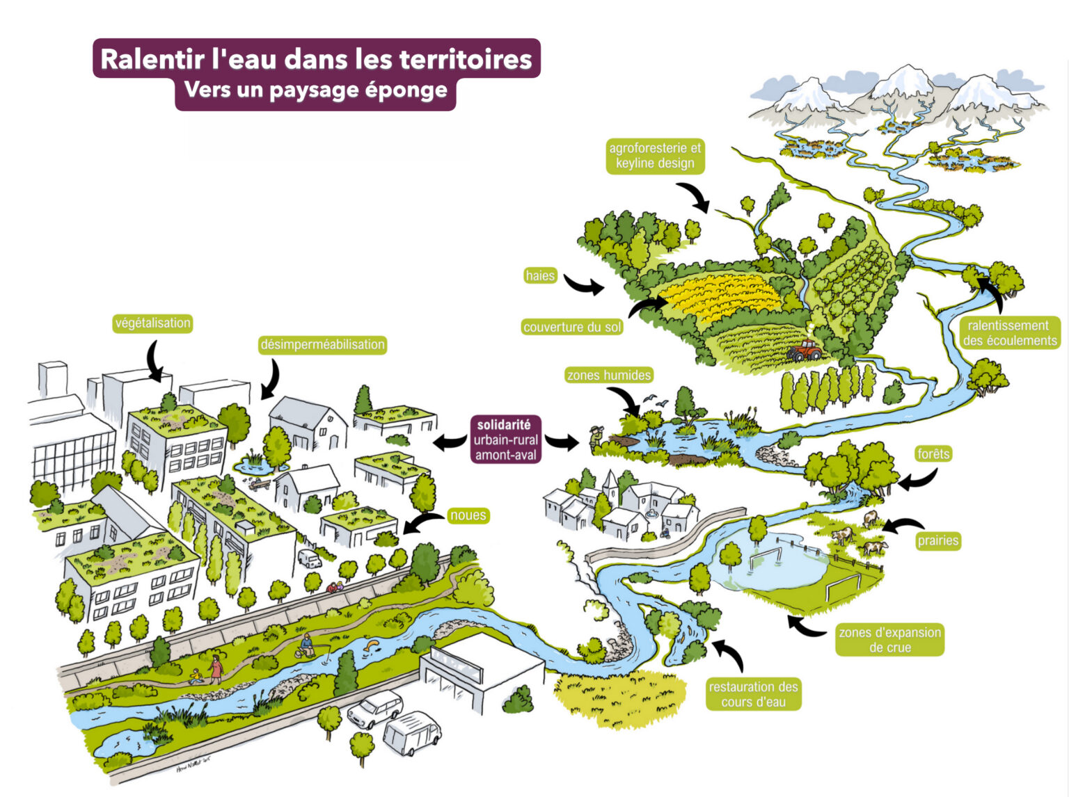 Illustration Vers un paysage éponge