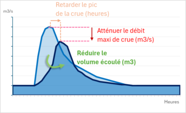 Schéma théorique des effets attendus de l'aménagement du bassin versant