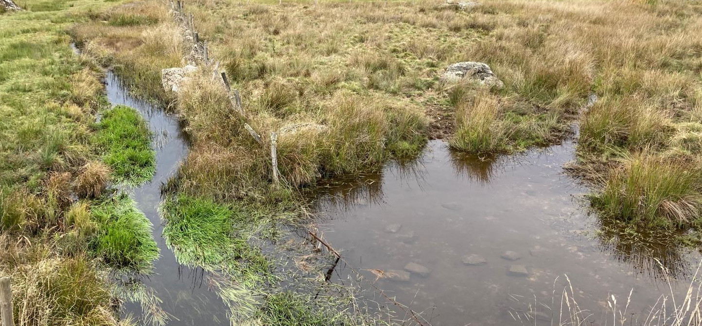 Zone humide de haut bassin