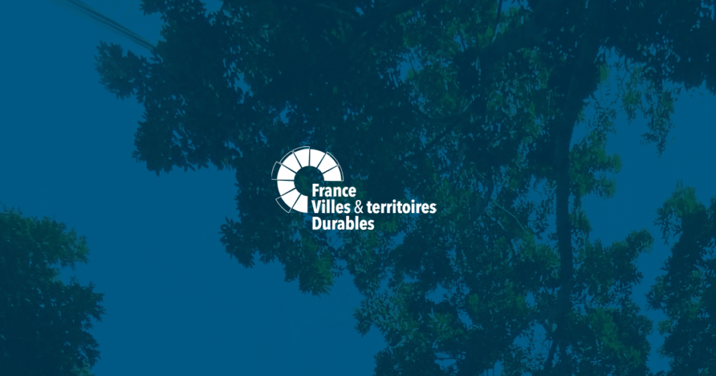 Créée en 2016 sous le nom d'Institut pour la Ville Durable, France Villes et territoires Durables (FVD) est un « do-tank » qui accélère la transformation durable et résiliente des territoires
