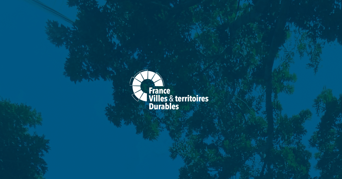 Créée en 2016 sous le nom d'Institut pour la Ville Durable, France Villes et territoires Durables (FVD) est un « do-tank » qui accélère la transformation durable et résiliente des territoires