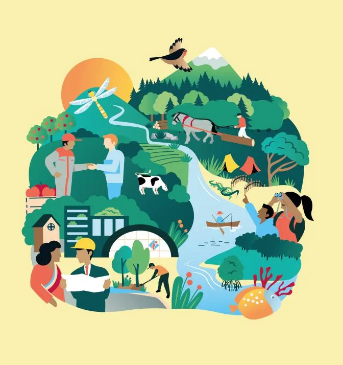 MOOC LIFE ARTISAN sur les solutions fondées sur la nature