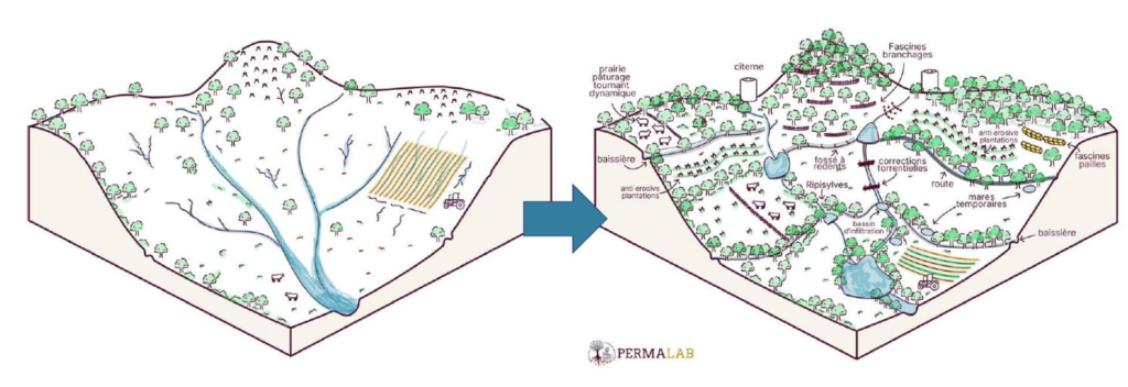 Schématisation de l'approche de l'hydrologie régénérative sur un petit bassin versant agricole