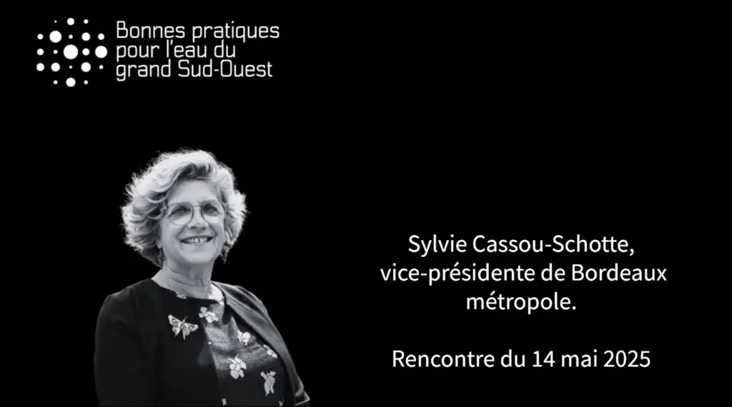 Webinaire Sylvie CASSOU-SCHOTTE